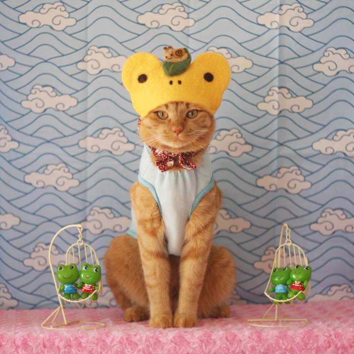 0e6c4465 be42 4e52 b83d 9137075e037a 1654215517245