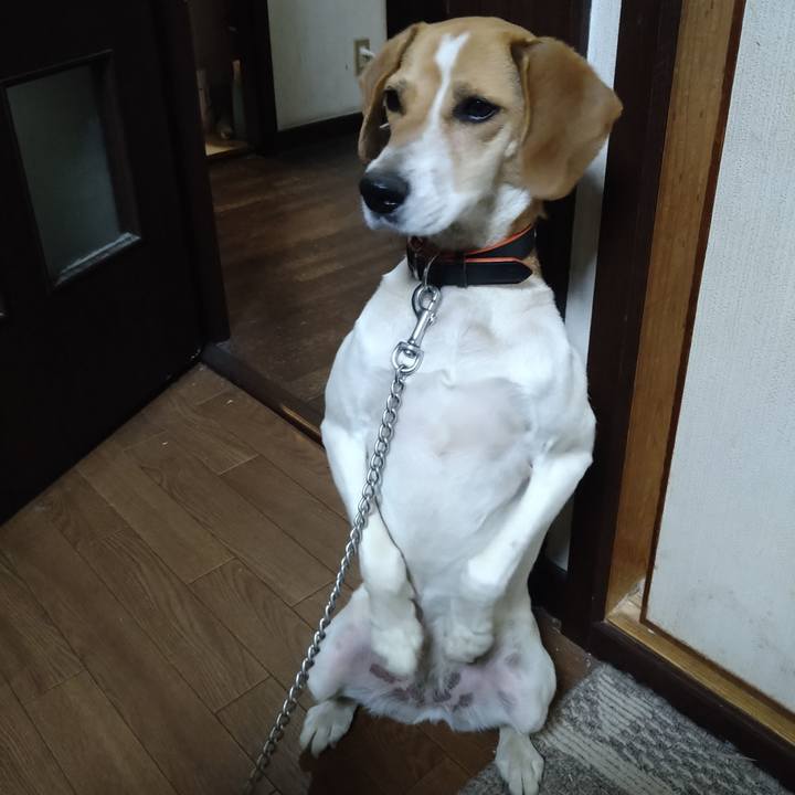 0e6c5887 aa46 427a 8c01 6b6022e811b6 1622694828463