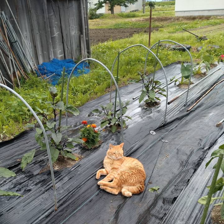 0e6c5f99 7fa4 4d7d b2fe ca0cf763ce6e 1687483579125