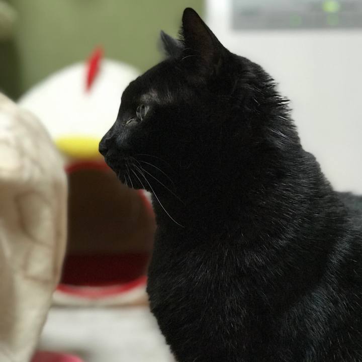 0e6c706a 0a83 473f 8d4c 50e761575344 1511746010103