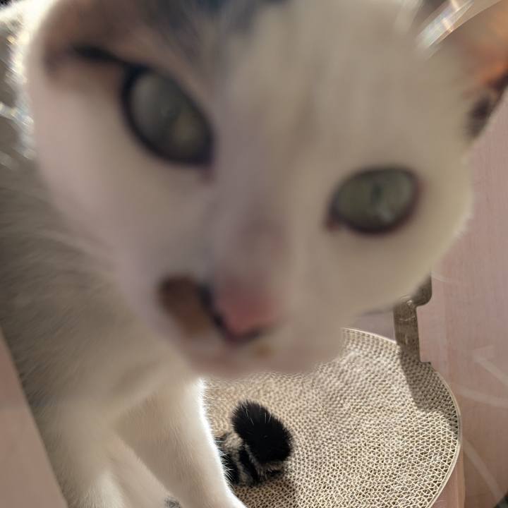 0e6c7571 2fc1 42db a976 6e74e3dc71f5 1735792051813