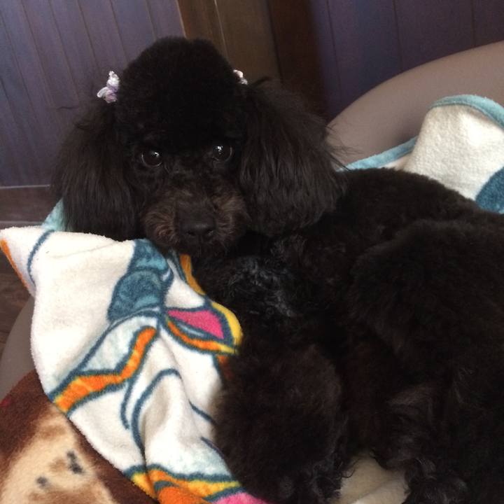 0e6c7794 c919 42d0 a0c9 ef8de6be46a3 1523590429633