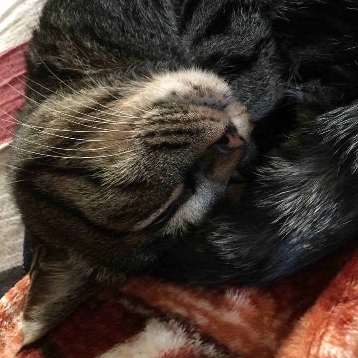 0e6cc297 5501 48ff 9756 ae59c66282de 1523427632886