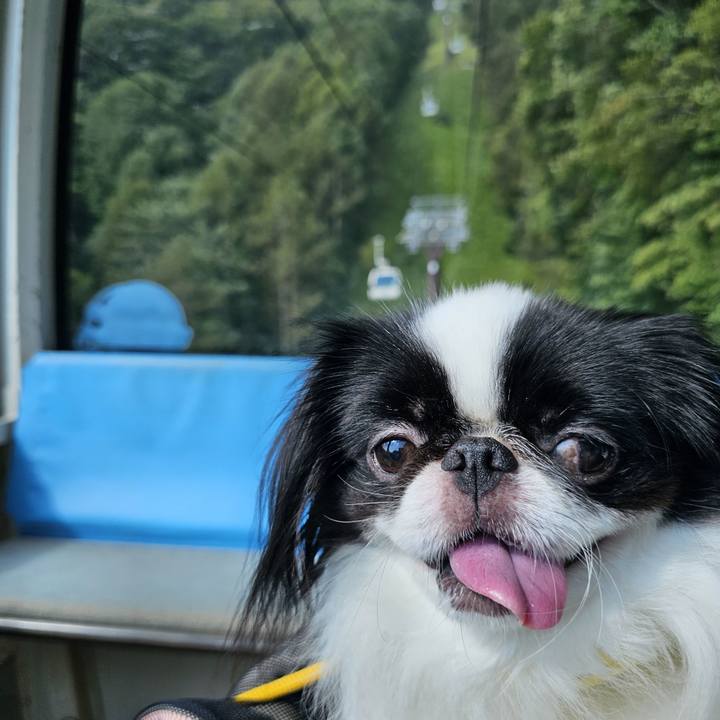 0e6cca01 2f56 44e2 b1de 40706d3be4ba 1693453989893