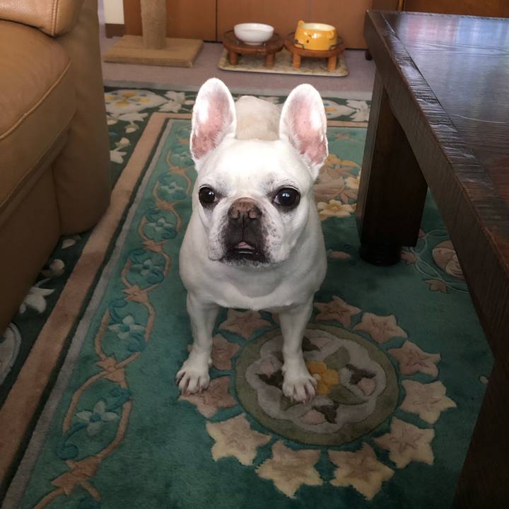 0e6d1149 7c3f 4ced 8168 28c382db4543 1687154628112