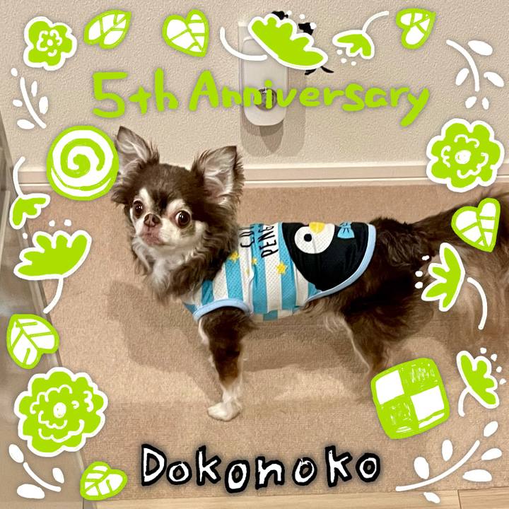 0e6d2b45 410d 440d 9714 2855289c2c54 1622963374949