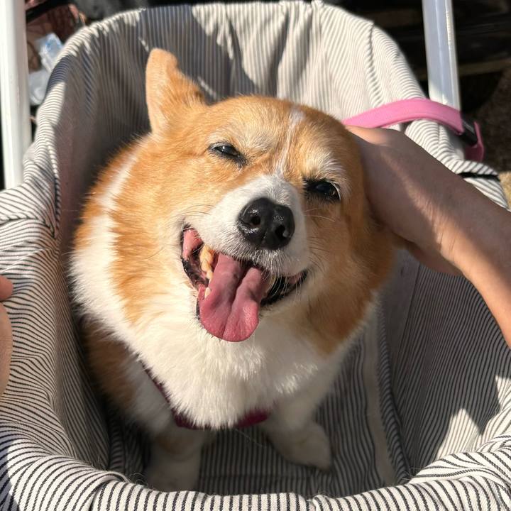 0e6d3c20 da2f 473f 8ea7 91b5d8af0df3 1730692722005