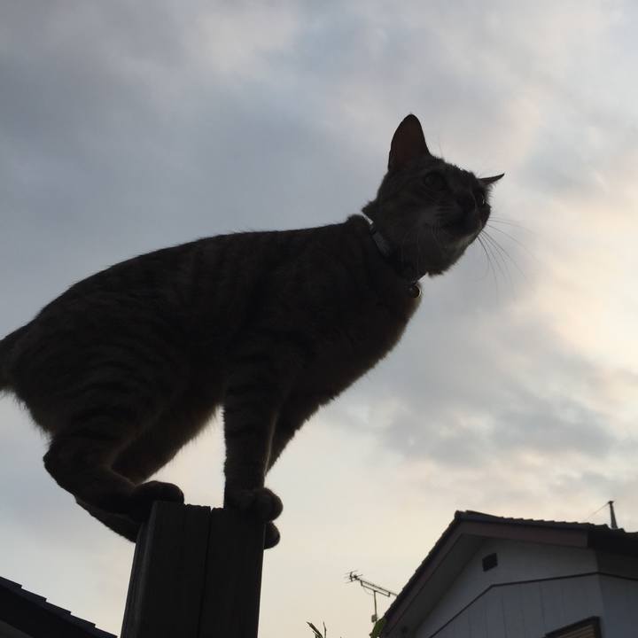 0e6d4179 4087 460c 9a0a 307465c2cc65 1561020346527