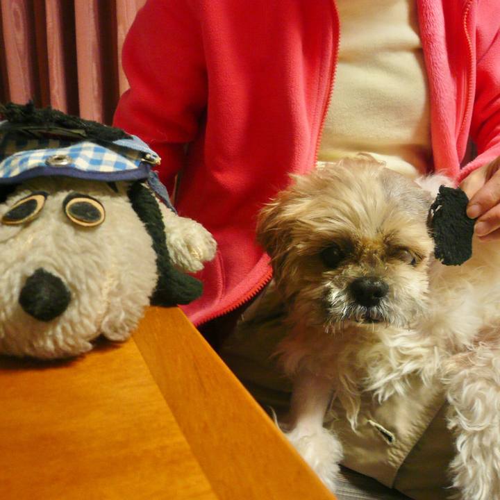 0e6d55a1 028e 4fe9 a78d 39967431f1d0 1517971360884