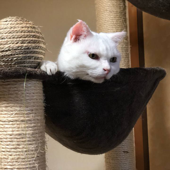 0e6d6f2c 211d 43e6 8c5d aba7ef350df9 1570804318527