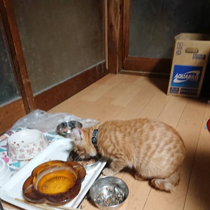 0e6d99e9 74e7 4047 8008 010fe8ce0c6f 1636318177485