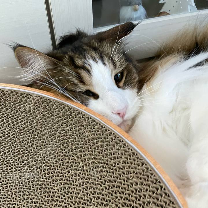 0e6e805f 7138 41cd 81c1 700e78040067 1675893494303