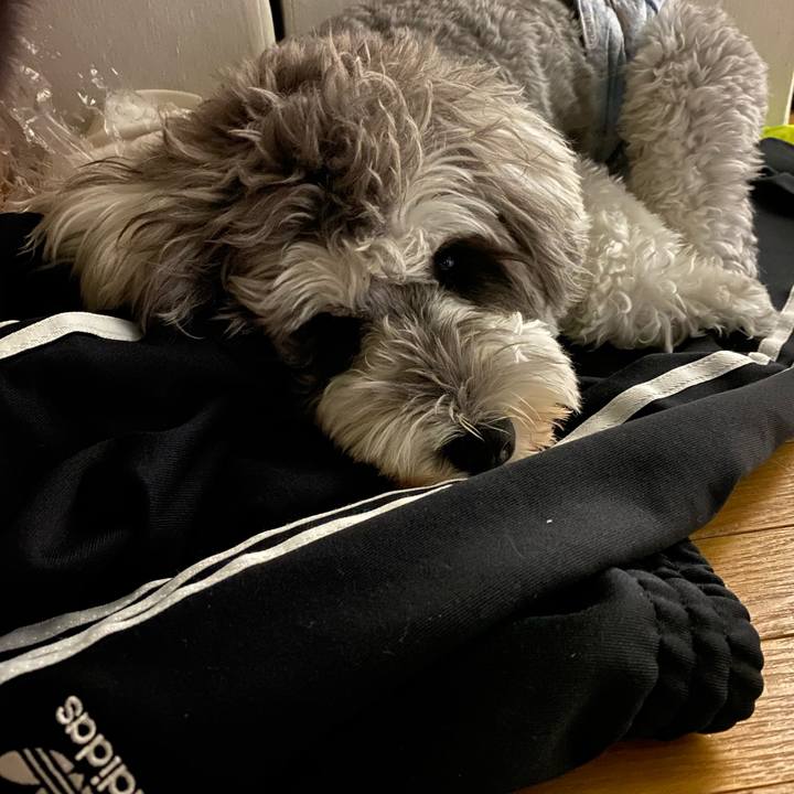 0e6ead98 24c3 40da 9e51 d6d43a6b6516 1601917383393