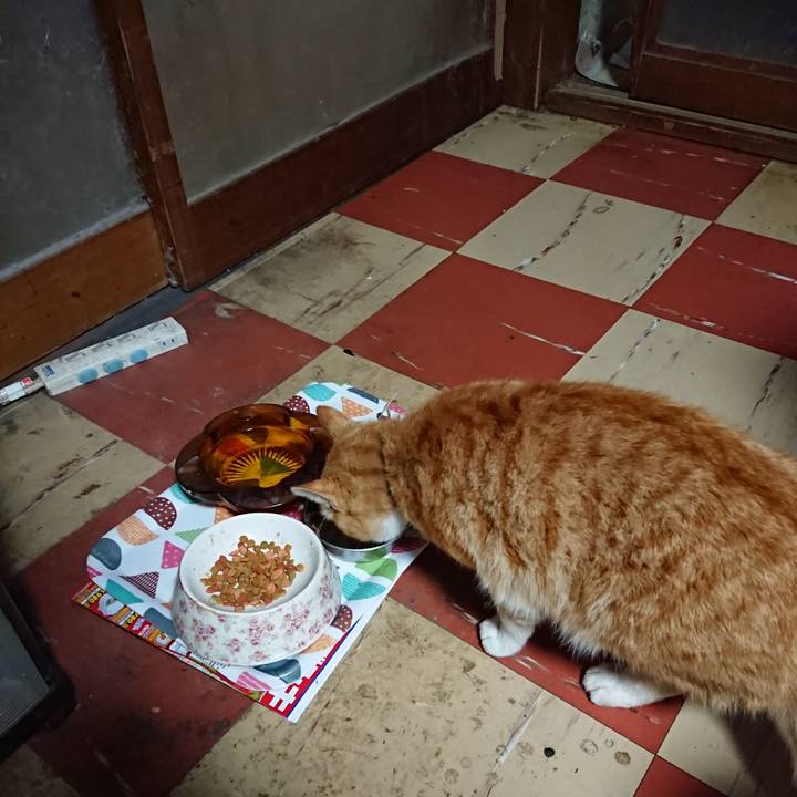 0e6ebf95 9298 4fcb b605 da644457eef6 1586725843090