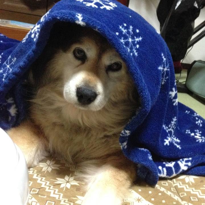 0e6ec609 f743 48fe 838c 8ba812697597 1569720400860