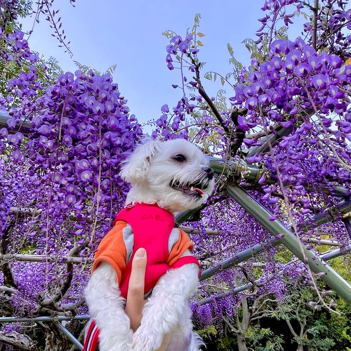 0e6ec7ef 5bbf 4b29 851c 872a5376c9bd 1618056094244