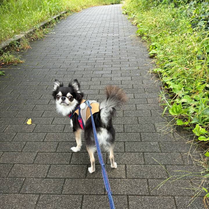 0e6ecae5 ea04 46a1 87fa 3bb5ffd05ff8 1727106484774