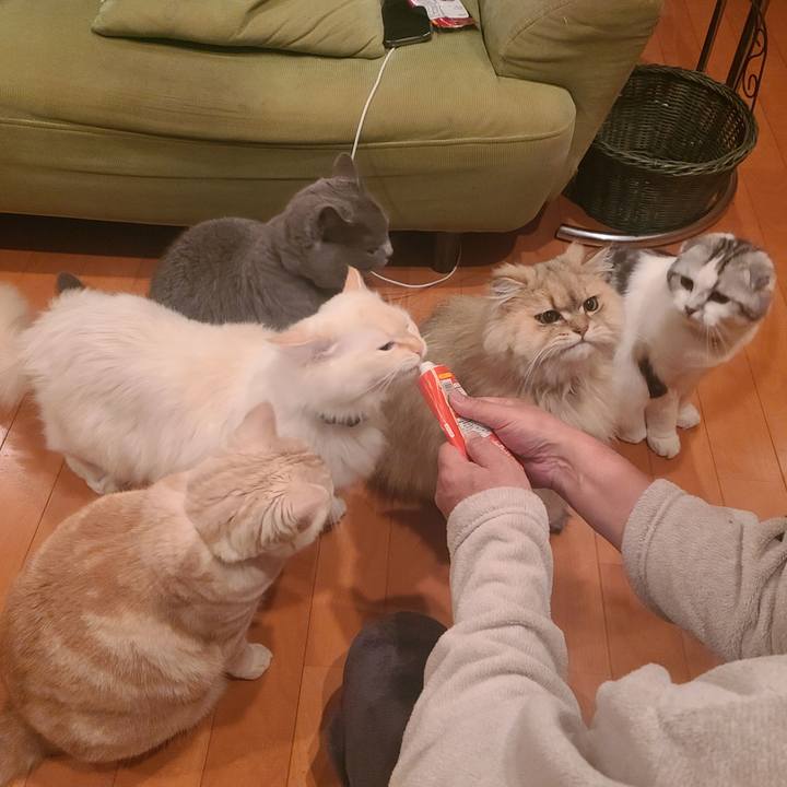 0e6ef82c b8a3 4670 8d38 a3a0d22c0cbc 1681808319828