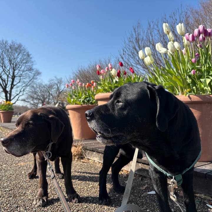 0e6f03f8 4f1f 44b3 a6c0 818d37242003 1768731785450