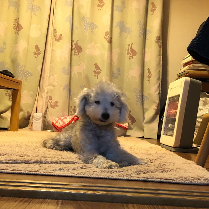 0e6f3beb 0e0b 46aa aed1 f51272b559a4 1637539342535