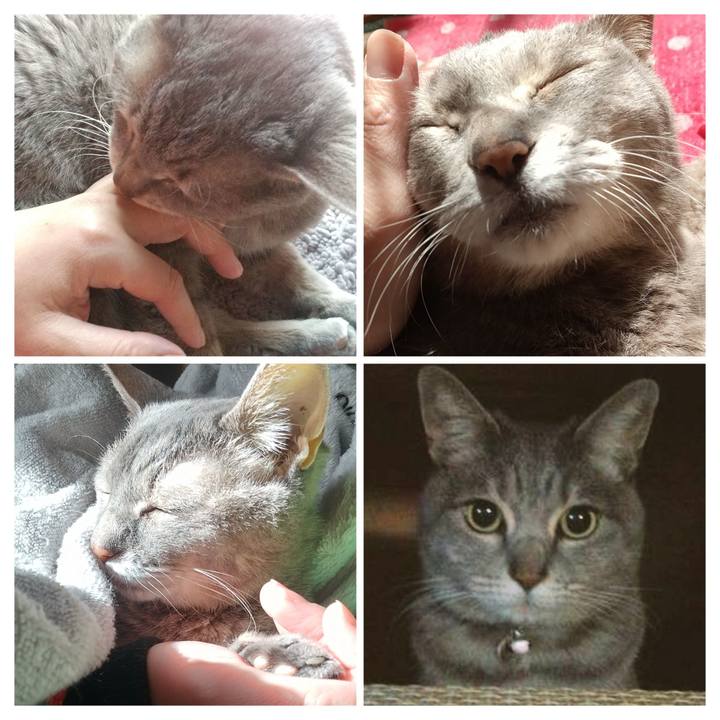 0e6f703b 1b1d 4b96 a422 3275ceaeb105 1704370374466