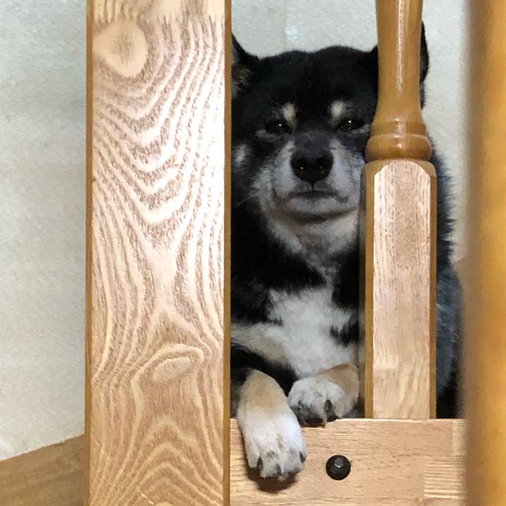 0e6f70cb feec 4f72 8088 9682b2bd6d7c 1551435394993