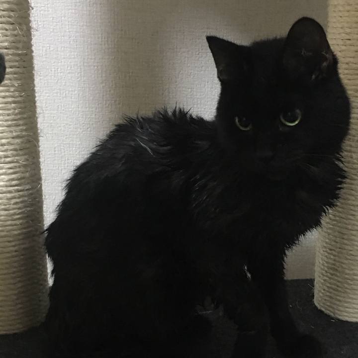 0e6f8215 f9d1 413e a85b 79cc8b77ccf6 1534477218217