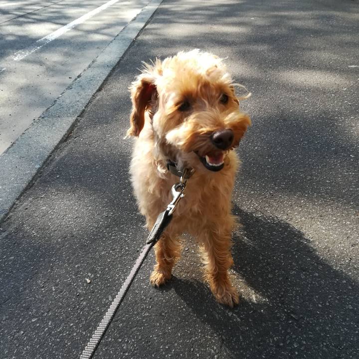 0e6f89e5 096e 4ab6 b326 aacf7f219908 1527200986831