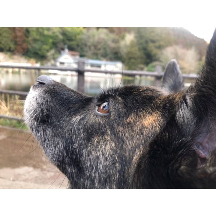 0e6f8bcb a665 49c7 868f 0dc644852c93 1551427410521