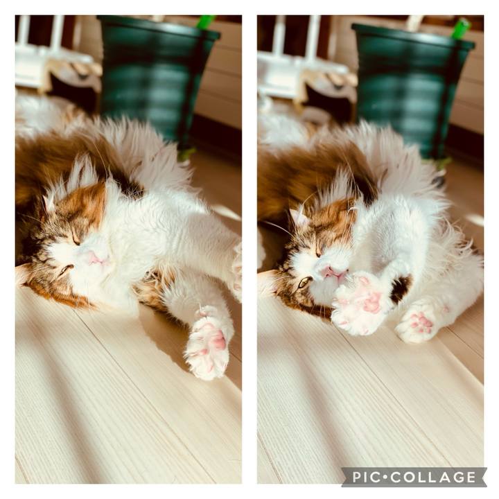 0e6f8f01 51c3 4a92 8e59 5d9636999503 1710054921786