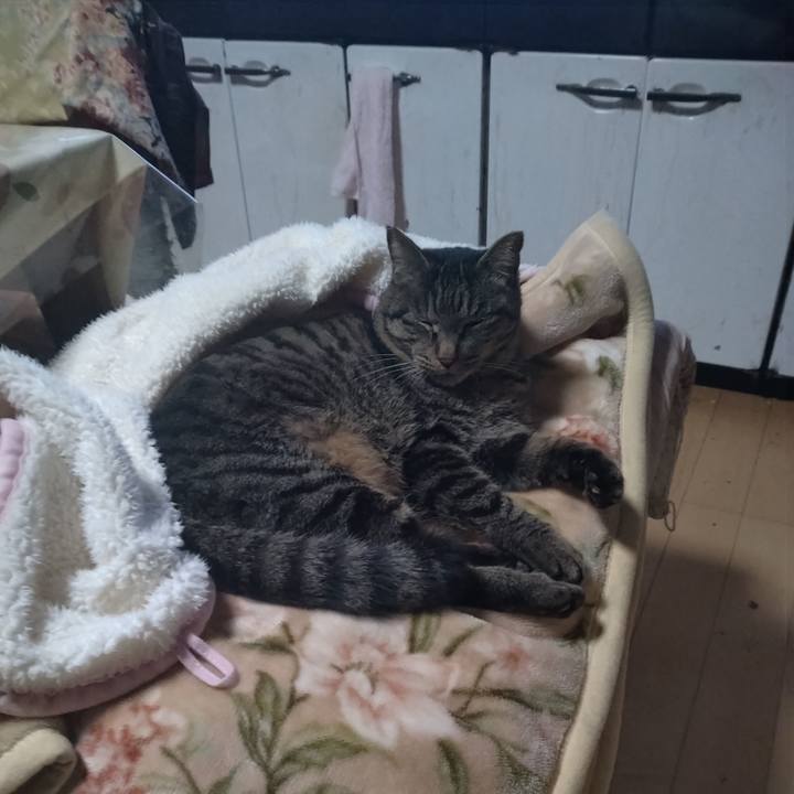 0e6fac17 8862 4794 b270 fa0bc100ae1d 1674255025822