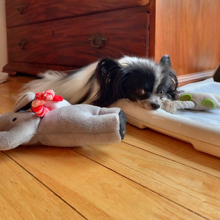 0e6fbed4 9dd8 40ad 83f1 c633cbaaccf2 1565959624000