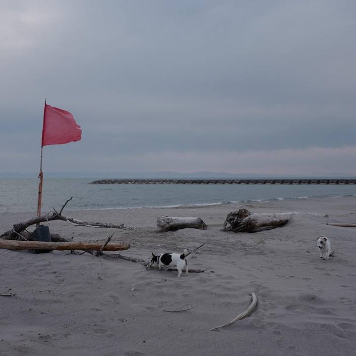 0e701593 fd40 45ea 9f19 6dc782376ac2 1682683342392