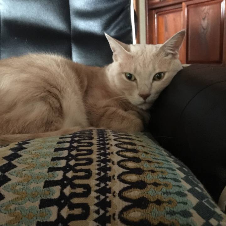 0e704338 6974 4299 b632 c652e746a3fb 1569113487444