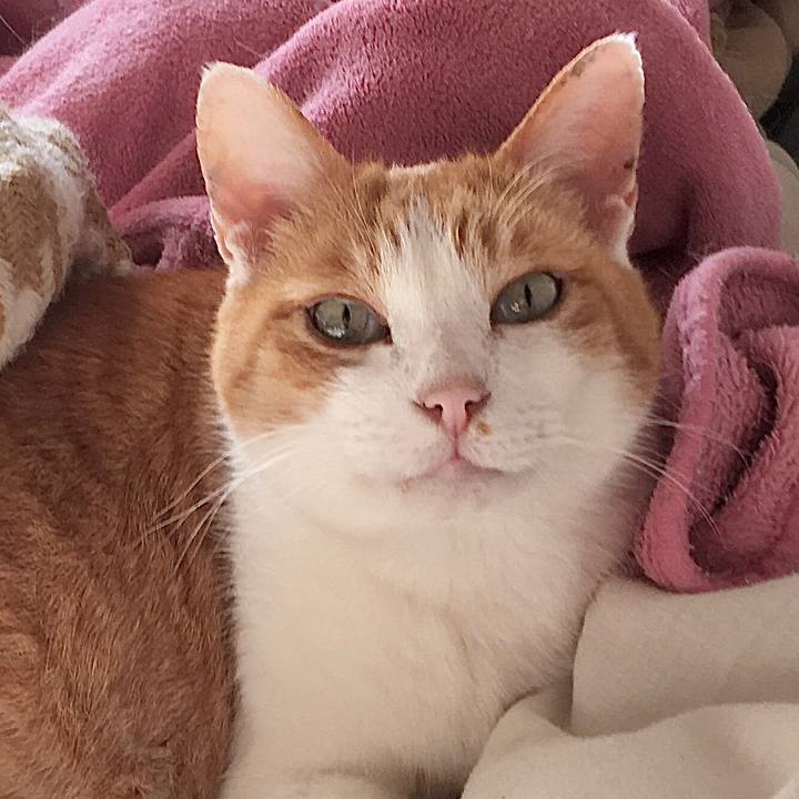 0e704b5c a2aa 4ccf 9eb3 6ef343264a7d 1576901865444