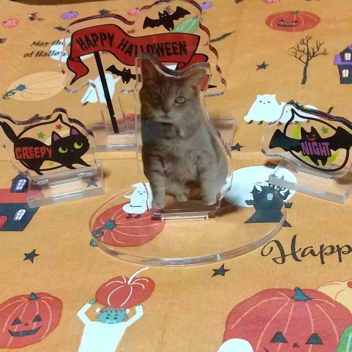 0e708d1c 6bd9 441a b8f3 32493840057a 1761913283221