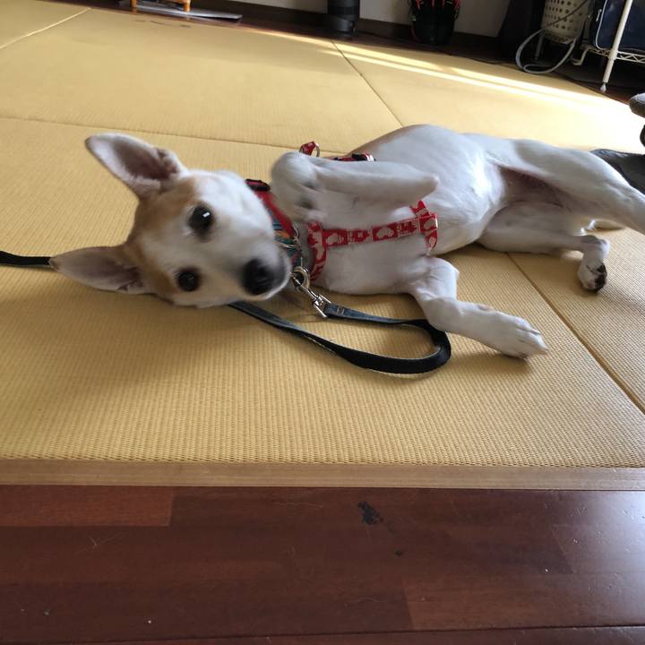 0e70dc5a d558 4c46 86e1 7ec712cc948d 1600164435658