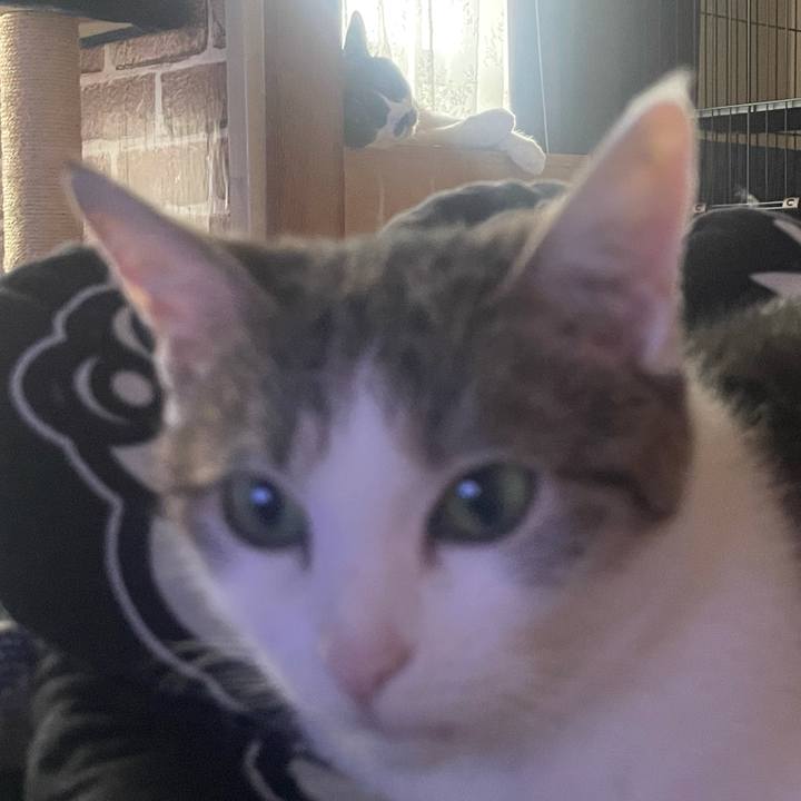 0e70eb31 6532 4e92 bdf8 7ef823096d8b 1624352232727