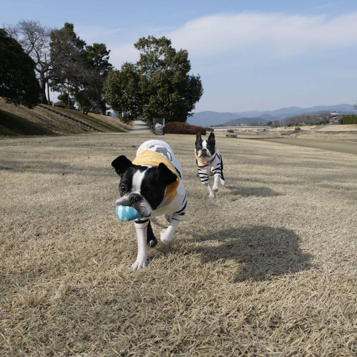 0e7108db 57ae 4118 90f9 e2699d6b3a87 1518181094762