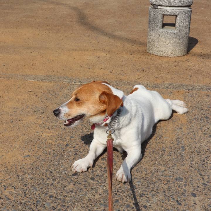 0e714e6c 2923 47a1 96b4 15f50f8f2713 1522823627842