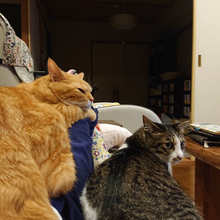 0e715477 374f 4349 a975 61b7ec4ce1c8 1688997847625