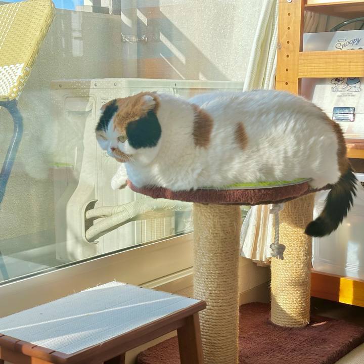 0e7156d2 635a 405f ba89 f59dbb36e6c4 1711231789511