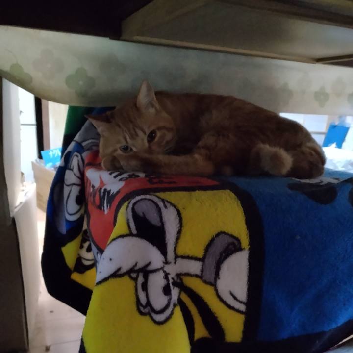 0e7166d7 b131 4535 b137 cca3efdd2de9 1666129919107