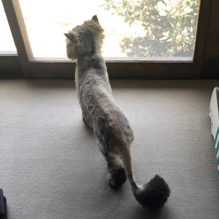 0e7179d0 5439 4aba a6d2 06b2b1e3d067 1589683439532