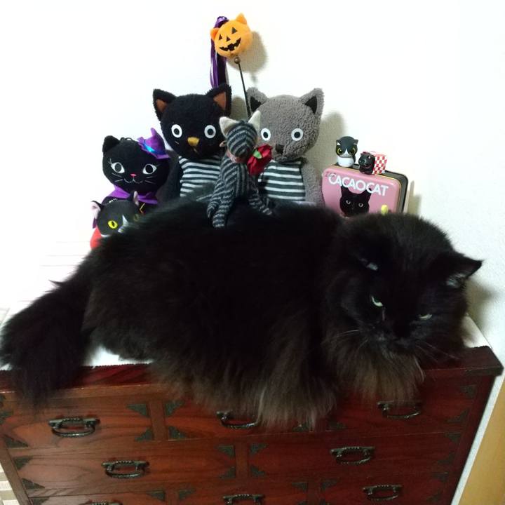 0e71be12 4357 432b ab38 2e079154473d 1698748631892