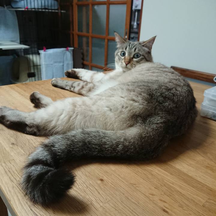 0e720ff4 cb5f 4c11 90b0 db0068289f2a 1558348555915