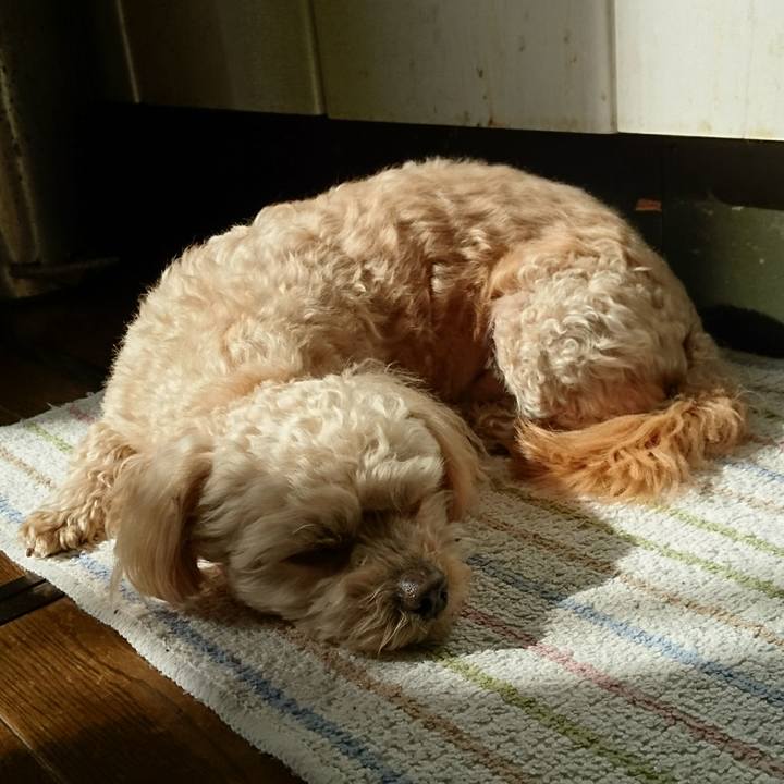 0e72371c fdb9 435b a6cf 27c6f6eaebf0 1583039457837