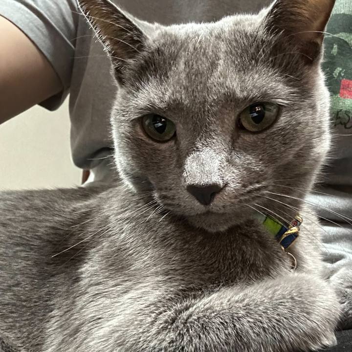 0e726b14 6923 4e07 82b7 7e3db45de845 1698833210454