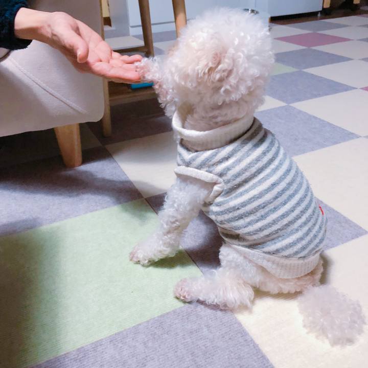 0e72725f e2c5 4c58 8f4b 06aacbed5fbe 1551613489196