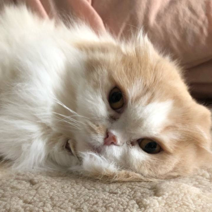 0e7299d7 296b 4a8f 888f 6dc35152639f 1646999449123